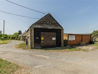 Picture 19